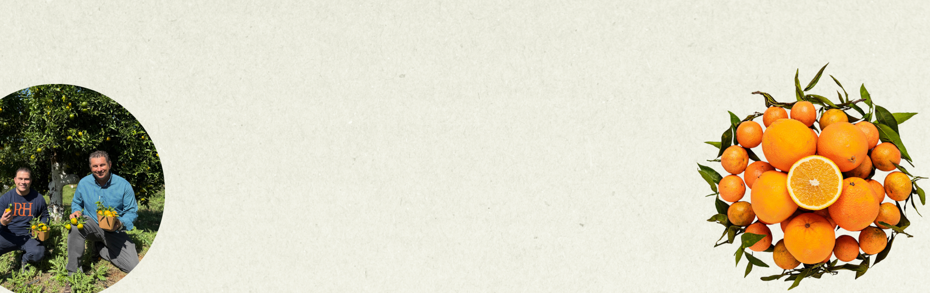 Högsäsong för citrus!