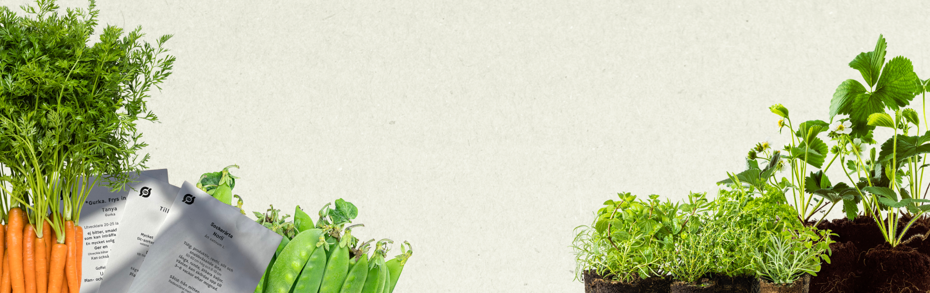 Dags att så de första fröna