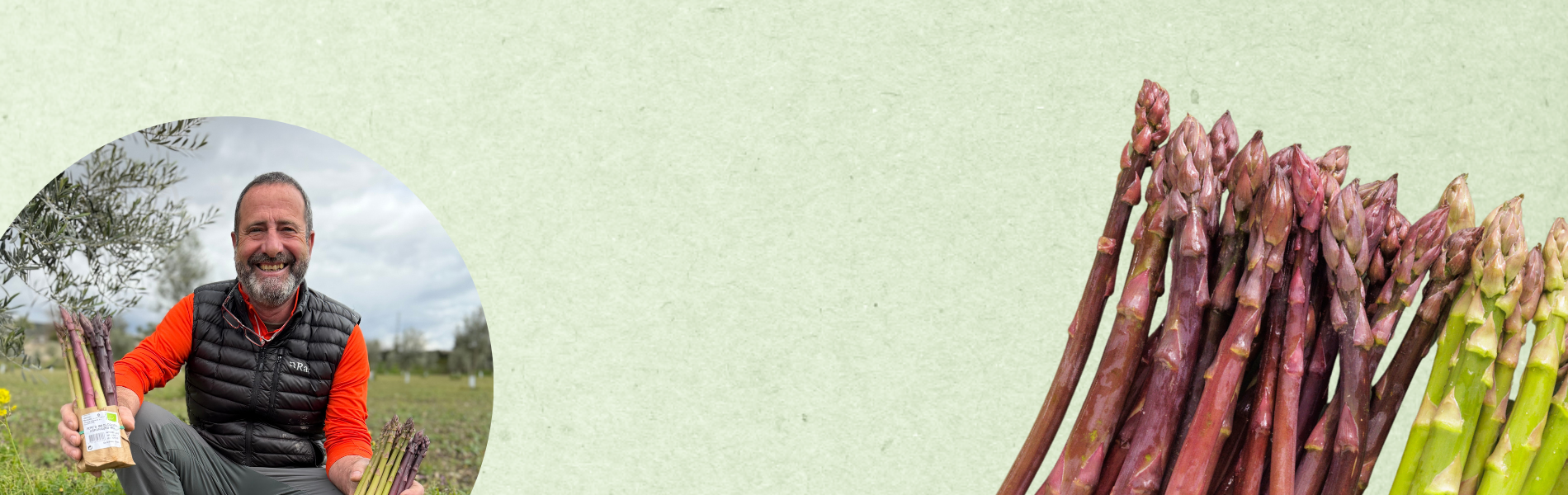 Pepes sparris är här!