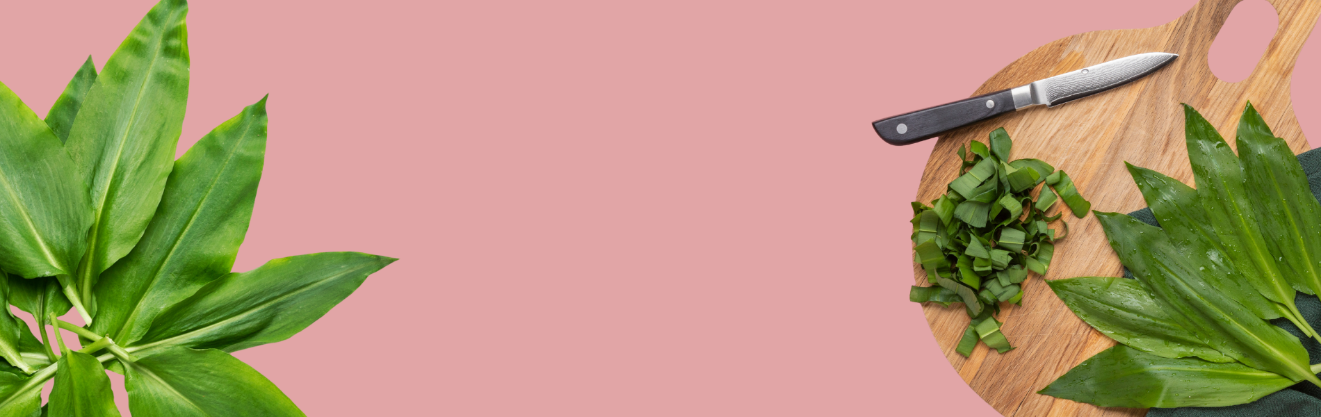 Säsongens ramslök är här